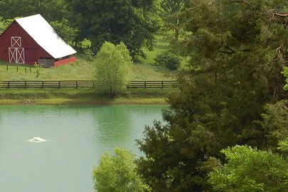 Country Life